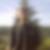 Photo de profil de Francois Sintes