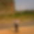 Photo de profil de Bénaîd Sini