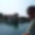 Photo de profil de Bernard Monerris