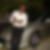 Photo de profil de Ruddy Forestal