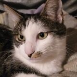Photo de profil de Carole Mollard
