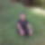 Photo de profil de Merieme Belaroussie