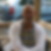 Photo de profil de David Mabire
