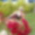 Photo de profil de Marthe Chantal Godignon