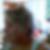 Photo de profil de Annie Brouillet