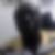 Photo de profil de Samuel Otu Larbi