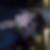 Photo de profil de Nicole Milgram