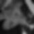 Photo de profil de Alice Jules
