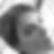 Photo de profil de Audrey Isabey