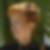Photo de profil de Roselyne Vitse