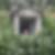 Photo de profil de Marie Antoinette Beuzit