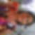 Photo de profil de Catherine Marcel