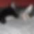 Photo de profil de Maëva Guieba