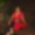 Photo de profil de Yvette Schmitt