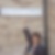 Photo de profil de Catherine Dallio