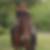 Photo de profil de John Mourouvin