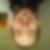 Photo de profil de Anthony Arndt