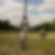 Photo de profil de Philippe Montanaro