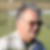 Photo de profil de Ange Franchi