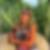 Photo de profil de Farid Nouli