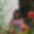 Photo de profil de Brigitte Guichard