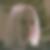 Photo de profil de Florent Correia Da Silva