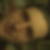 Photo de profil de Christian Jollet