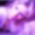 Photo de profil de Jessica Pottin