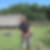 Photo de profil de Yannick Delaire