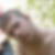 Photo de profil de Benjamin Hautin
