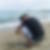 Photo de profil de Gombert Loic