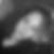 Photo de profil de Anabella Ferreira