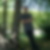Photo de profil de Eric Freon