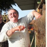Photo de profil de Gino Zago