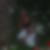 Photo de profil de Lydia Grandin