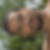 Photo de profil de Mohamed Chagh