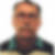 Photo de profil de Bernard Boutin