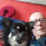 Photo de profil de Jean Paul Macouin