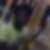 Photo de profil de Lacina Koné