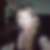 Photo de profil de Annick Dandine