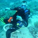 Photo de profil de Philippe Kemp