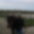 Photo de profil de Jean Barthes