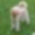 Photo de profil de Regis Dauchin