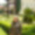 Photo de profil de Jackie Yang