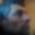 Photo de profil de Christophe Yung