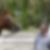 Photo de profil de Eric Andre