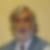 Photo de profil de Sauveur Vaccaro