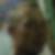 Photo de profil de Eric Thuytschaever