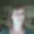 Photo de profil de Claudine Chaplain
