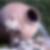Photo de profil de Pol Wilot